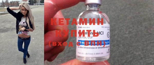 шишки Арсеньев