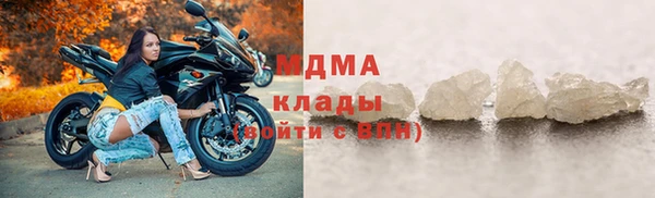 шишки Арсеньев