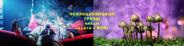 прущий лед Аркадак