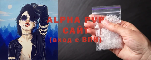 шишки Арсеньев