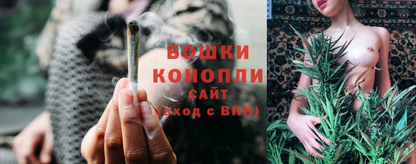 шишки Арсеньев