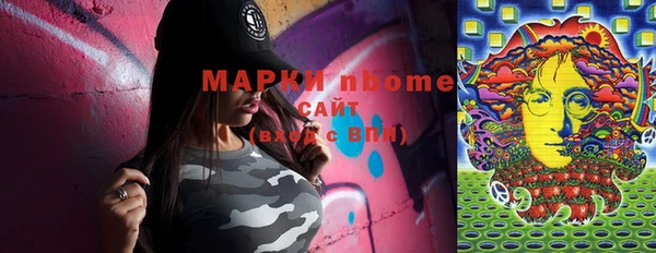 шишки Арсеньев