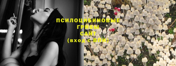 шишки Арсеньев