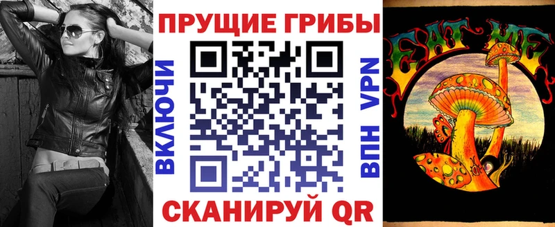 купить сайты Боровичи KRAKEN рабочий сайт Галлюциногенные грибы Psilocybe