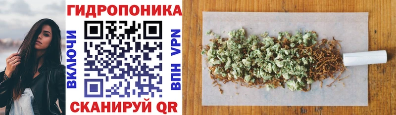 Конопля индика  хочу   Боровичи 